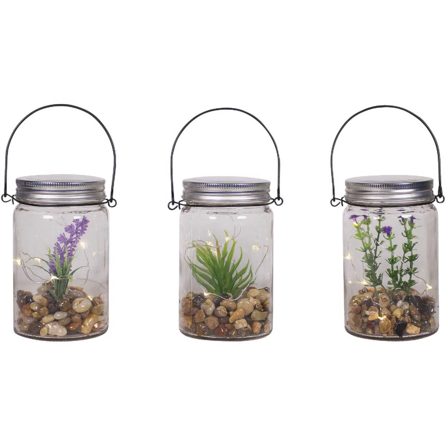 Alpine 3 In. W. X 6 In. H. X 4 In. L. Warm White LED Hanging Succulent Jar Patio Lantern 3 Alpine 3 In. W. X 6 In. H. X 4 In. L. Warm White LED Hanging Succulent Jar Patio Lantern