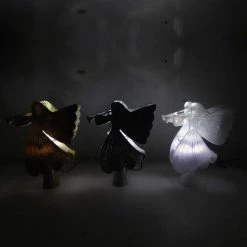 Cheap Alpine Shop -Cheap Alpine Shop ItemImage 886983 3fhftgwf5crqqcpc3wf35m6